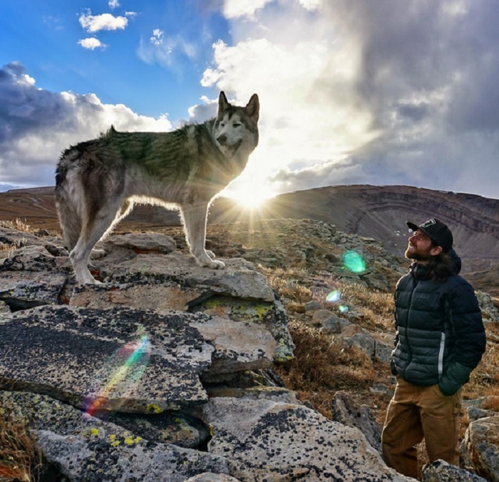 Meet Loki, The Wolfdog That Goes On An Epic Adventure With His Human!